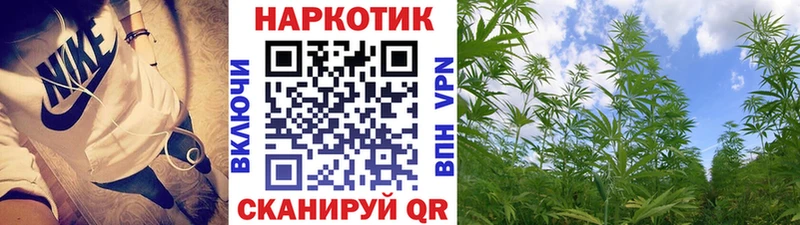 Купить закладку Псилоцибиновые грибы  COCAIN  Амфетамин  Меф  Конопля  Екатеринбург