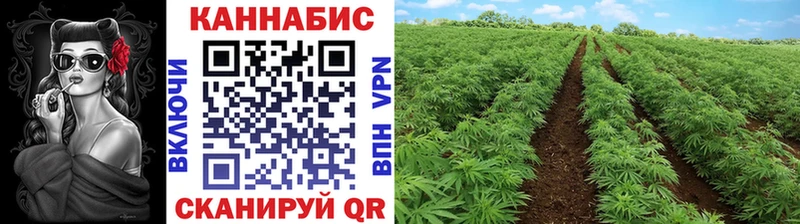 Шишки марихуана тримм  Купить где  Екатеринбург 